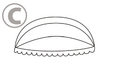 Bow blind canopy illustration